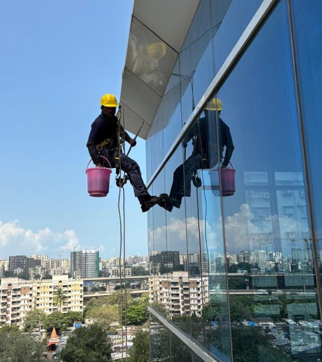 expert facade cleaning services. (4)